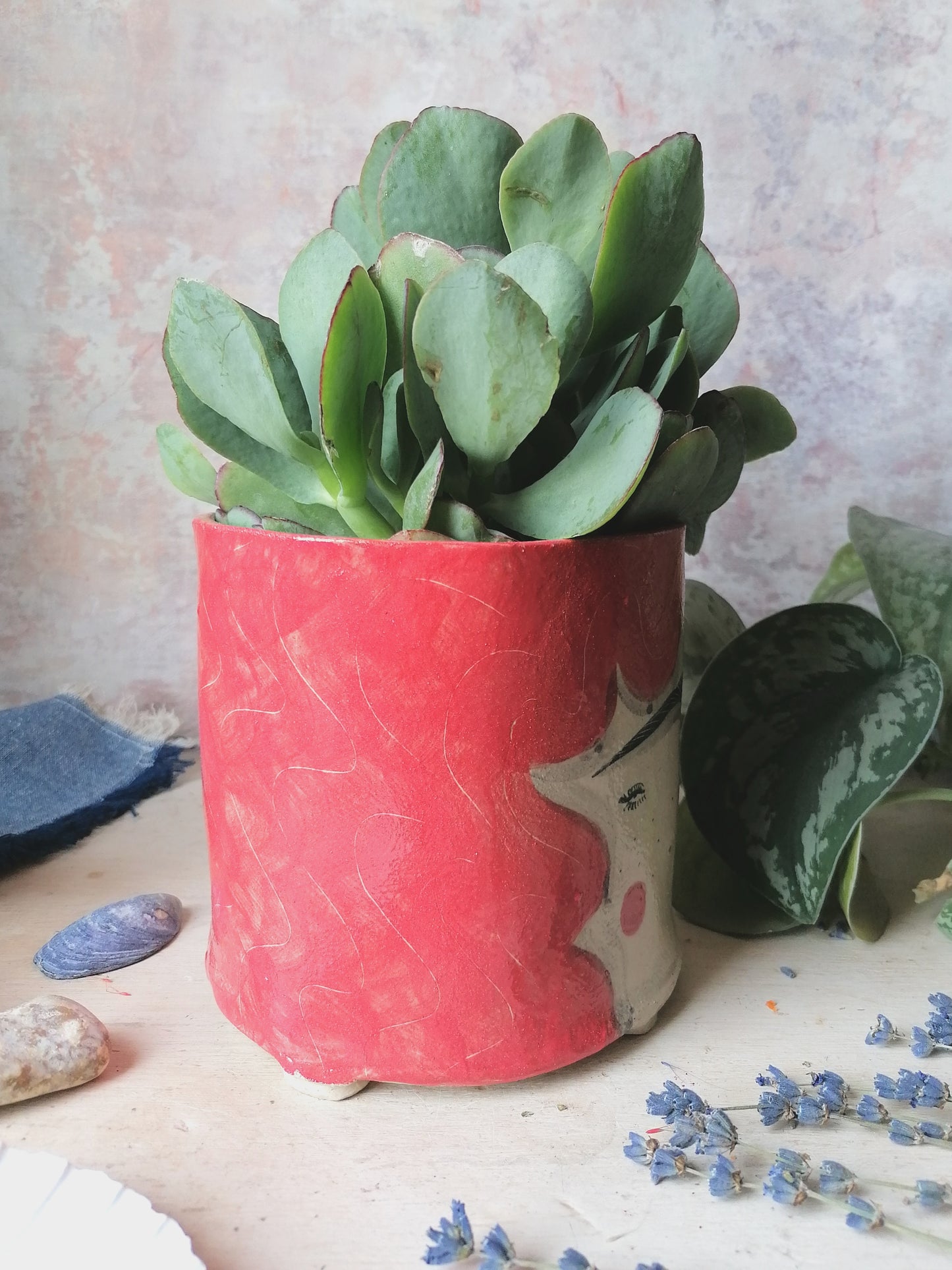 Pertunia the handmade ceramic plant pot