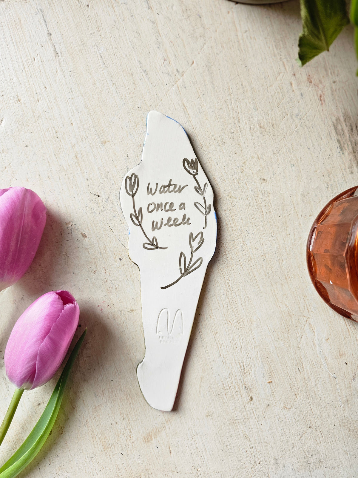 Winnie the plant friend ceramic plant marker