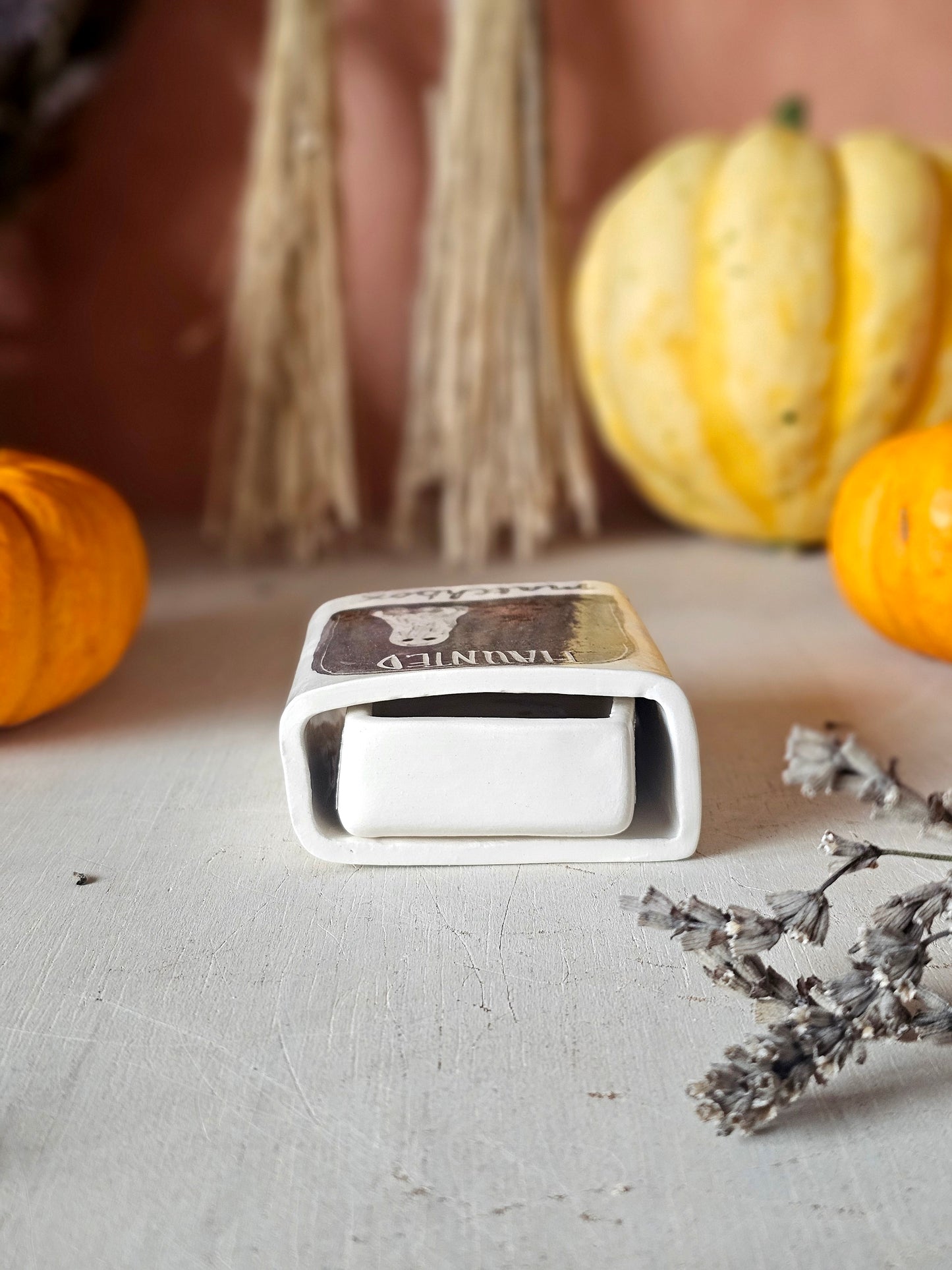 The haunted small ceramic matchbox with mini ghost