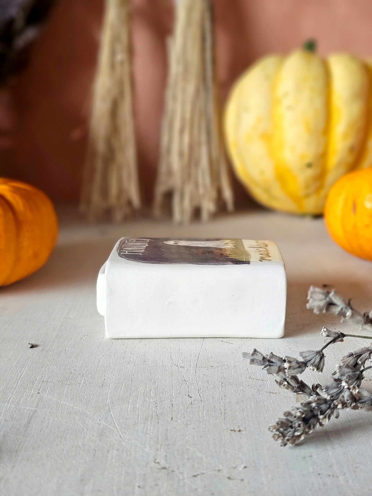 The haunted small ceramic matchbox with mini ghost