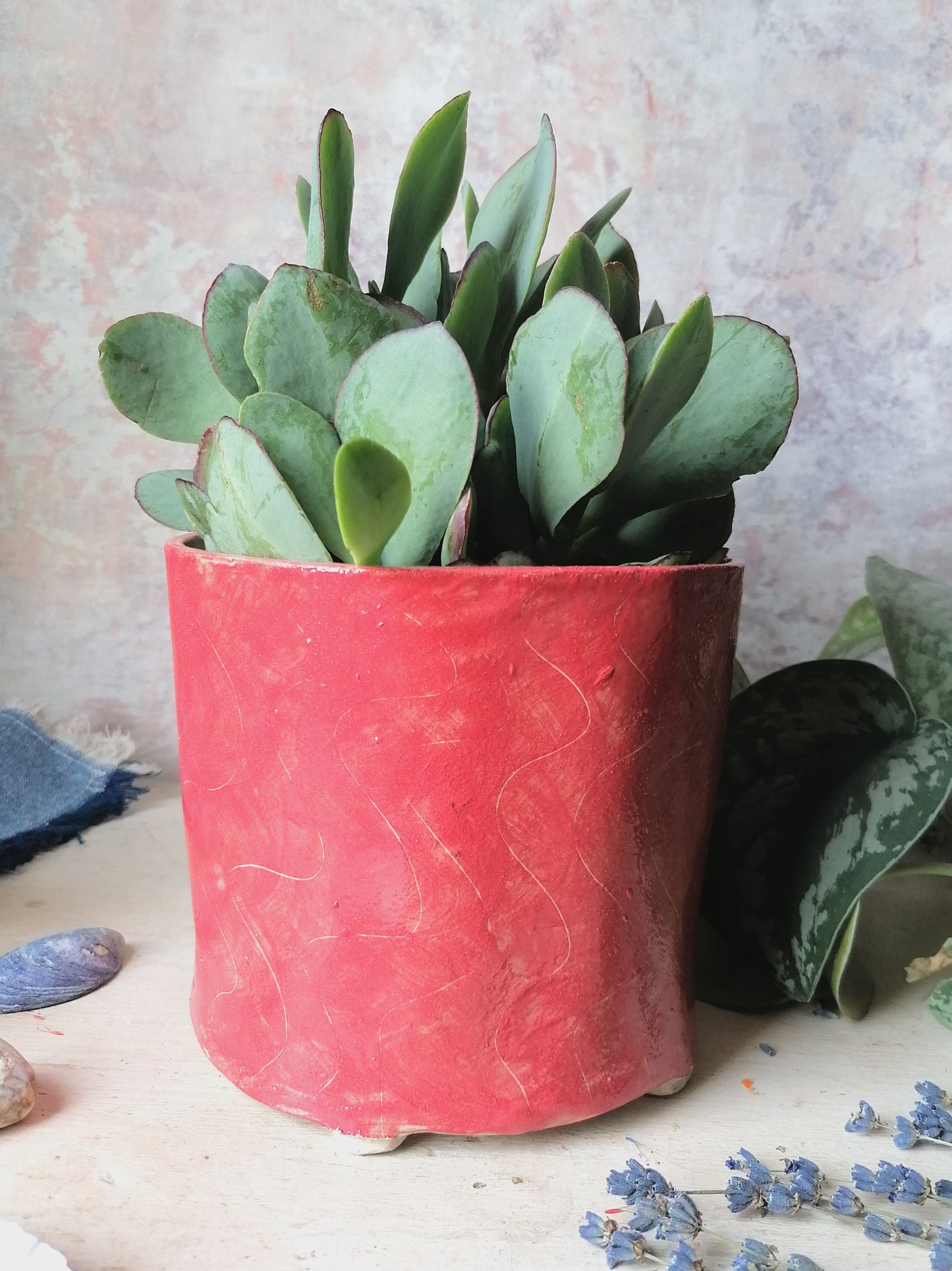 Pertunia the handmade ceramic plant pot